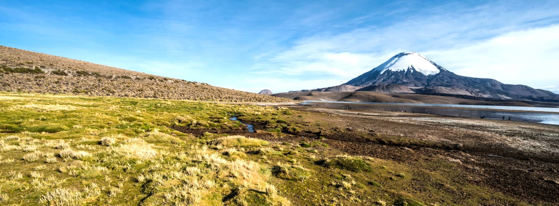 Chungara Lake Tour