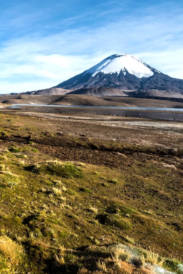 Chungara Lake Tour