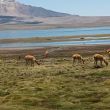 Parque Nacional Lauca