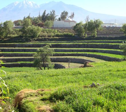 Tour Arequipa 4 días / 5 noches