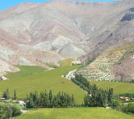 National Park Lauca tour 2 days / 1 night