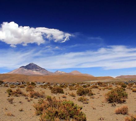 National Park Lauca Tour 4 days / 3 nights
