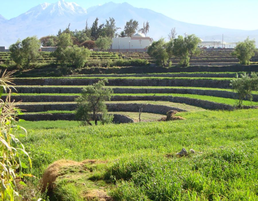Tour Arequipa 4 days / 3 nights