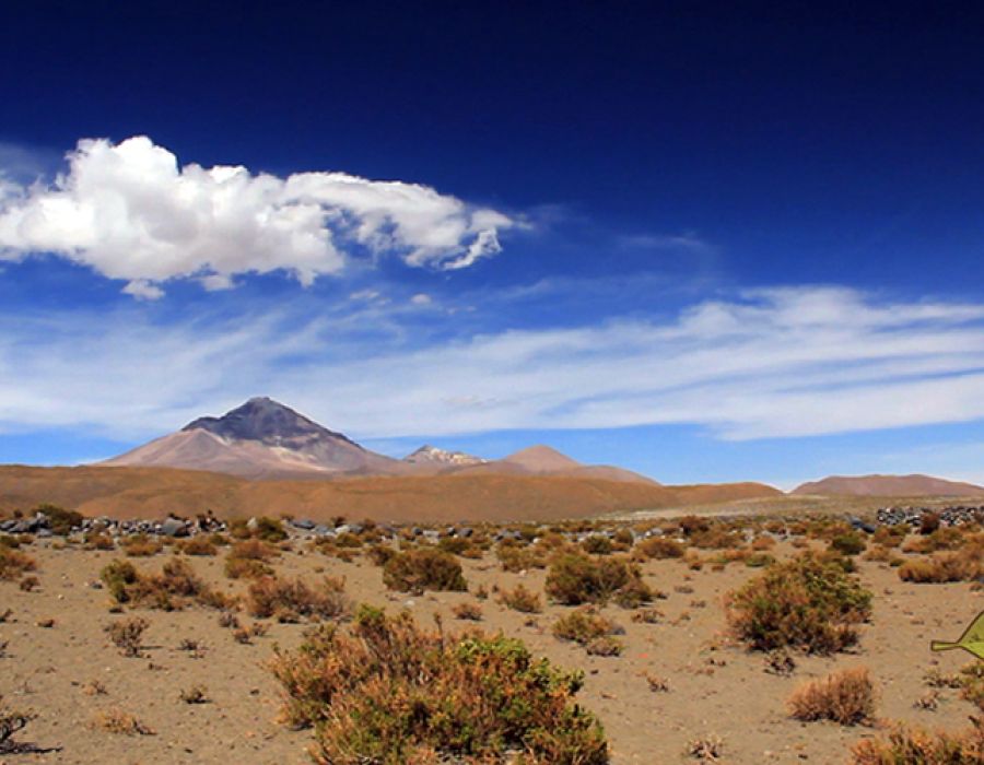 Tour Parque Nacional Lauca 4 días / 3 noches
