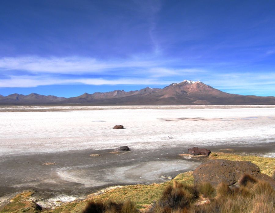 Parque Nacional Lauca - Reserva las vicuñas - Salar de Surire 3D / 2N
